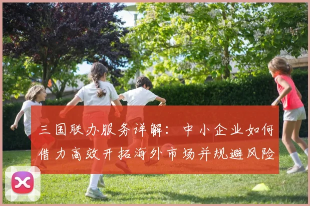三国联办服务详解：中小企业如何借力高效开拓海外市场并规避风险
